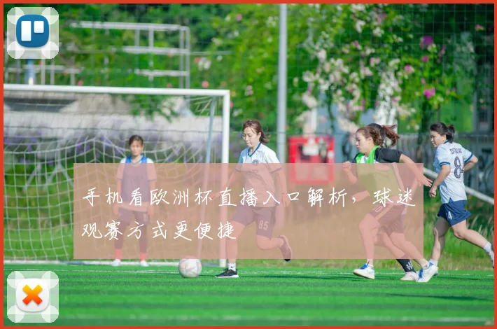 手机看欧洲杯直播入口解析,球迷观赛方式更便捷