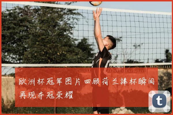 欧洲杯冠军图片回顾荷兰捧杯瞬间再现夺冠荣耀