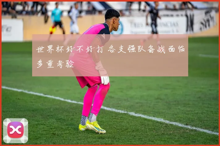 世界杯好不好打 各支强队备战面临多重考验
