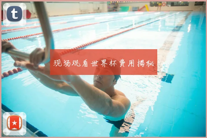 现场观看世界杯费用揭秘