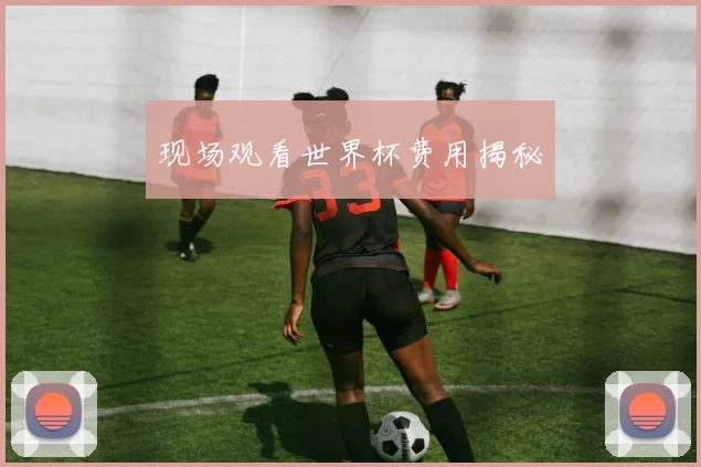 现场观看世界杯费用揭秘