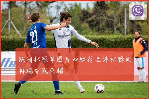 欧洲杯冠军图片回顾荷兰捧杯瞬间再现夺冠荣耀